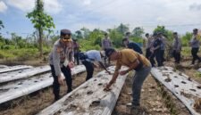 Kapolres Mimika, AKBP Billyandha Hildiario Budiman, bersama sejumlah Perwira Polres Mimika menanam bibit jagung di lahan ketahanan pangan Polsek Mimika Baru, Jalan SP 4, Kelurahan Wonosari Jaya, Distrik Wania, Kabupaten Mimika, Provinsi Papua Tengah, Sabtu (7/3/2026). (Foto: Humas Polres Mimika)