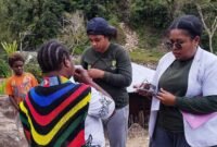 Tenaga kesehatan memberikan pelayanan kepada masyarakat di Ainggogin, Distrik Tembagapura, Mimika, Papua Tengah. (Foto: Dok. Puskesmas Aroanop)