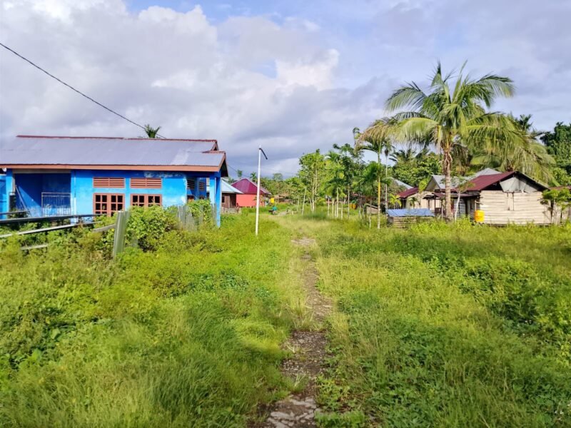 Situasi di Distrik Kapiraya, Kabupaten Deiyai, Papua Tengah. dok. Istimewa
