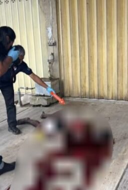 berita-rekomendasi-foto