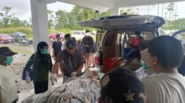 RK (29 tahun), korban penembakan di Dekai, Yahukimo, dievakuasi untuk mendapatkan penanganan medis. (Foto: Dok. Satgas Humas Operasi Damai Cartenz 2026)