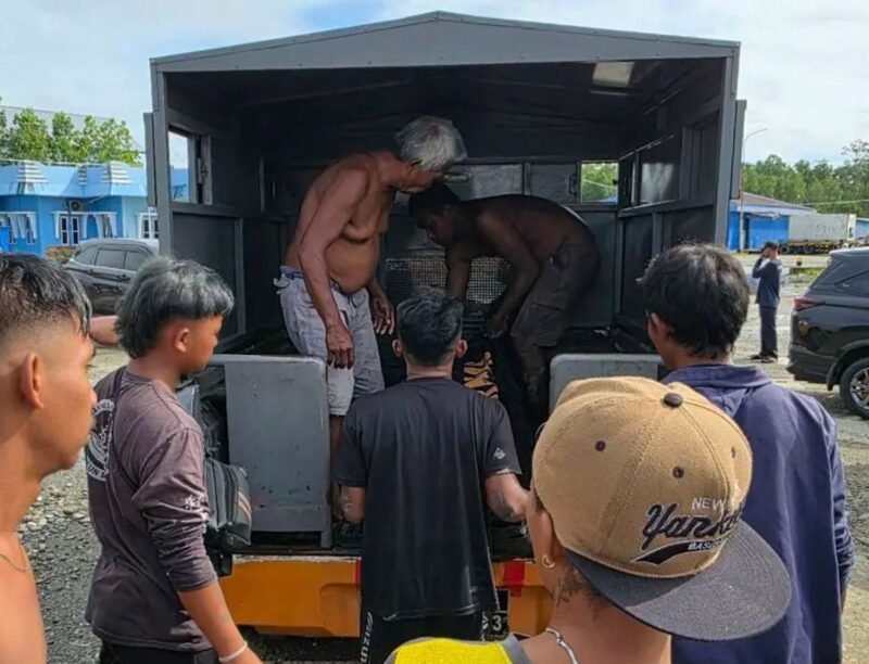 Jenazah korban hendak dibawa ke RSUD Mimika. (Foto: Amatir Warga)