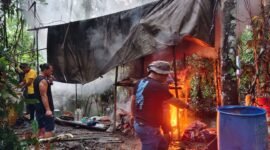 Sat Resnarkoba Polres Mimika melakukan penggerebekan di salah satu tempat pengolahan minuman keras lokal jenis sopi di kawasan Jalan Poros SP 5, Mimika, Papua Tengah, Jumat 8 Mei 2026. (Foto: Sat Resnarkoba)
