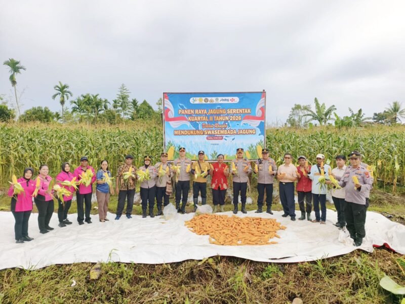 Kapolres Mimika AKBP Billyandha Hildiario Budiman saat hendak memetik jagung dalam acara panen raya jagung di Kampung Wonosari Jaya, Distrik Wania, Mimika, Papua Tengah. Sabtu (16/5/2026). (Foto: Istimewa)