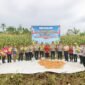 Kapolres Mimika AKBP Billyandha Hildiario Budiman saat hendak memetik jagung dalam acara panen raya jagung di Kampung Wonosari Jaya, Distrik Wania, Mimika, Papua Tengah. Sabtu (16/5/2026). (Foto: Istimewa)