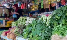berita-pilihan-foto