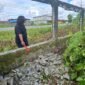 Kondisi pagar lahan Keuskupan Timika yang sudah dalam kondisi rusak. (Foto: Istimewa)