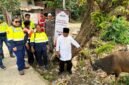 Penyerahan sapi qurban oleh Corcom PT Petrosea Tbk kepada pengurus Masjid Asy Syuhada di Jalan Ahmad Yani, Gang Singaraja, Kelurahan Kebun Sirih, Distrik Mimika Baru, Mimika, Papua Tengah, Selasa (26/5/2026), (Foto: Istimewa)
