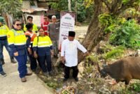 Penyerahan sapi qurban oleh PT Petrosea Tbk kepada pengurus Masjid Asy Syuhada di Jalan Ahmad Yani, Gang Singaraja, Kelurahan Kebun Sirih, Distrik Mimika Baru, Mimika, Papua Tengah, Selasa (26/5/2026), (Foto: Istimewa)