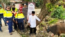 Penyerahan sapi qurban oleh Corcom PT Petrosea Tbk kepada pengurus Masjid Asy Syuhada di Jalan Ahmad Yani, Gang Singaraja, Kelurahan Kebun Sirih, Distrik Mimika Baru, Mimika, Papua Tengah, Selasa (26/5/2026), (Foto: Istimewa)