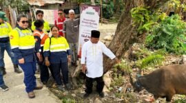 Penyerahan sapi qurban oleh Corcom PT Petrosea Tbk kepada pengurus Masjid Asy Syuhada di Jalan Ahmad Yani, Gang Singaraja, Kelurahan Kebun Sirih, Distrik Mimika Baru, Mimika, Papua Tengah, Selasa (26/5/2026), (Foto: Istimewa)