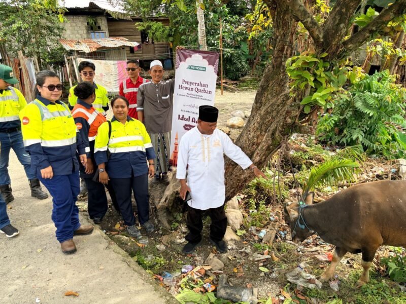 Penyerahan sapi qurban oleh Corcom PT Petrosea Tbk kepada pengurus Masjid Asy Syuhada di Jalan Ahmad Yani, Gang Singaraja, Kelurahan Kebun Sirih, Distrik Mimika Baru, Mimika, Papua Tengah, Selasa (26/5/2026), (Foto: Istimewa)