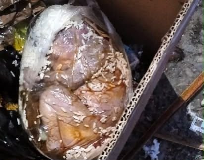Kondisi jasad bayi saat ditemukan di dalam kantong plastik bercampur sisa makanan di tempat penampungan sampah DLH Kabupaten Mimika. (Foto: Istimewa)
