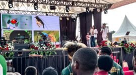 Michael Jakarimilena bersama sang istri Floranesia Lantang menjelaskan tentang jenis-jenis burung cenderawasih kepada para peserta Festival Cahaya Kreasi Budaya Pelajar Papua Tengah di Nabire, Jumat (26/6/2026). (Foto: Galeri Papua/Endy Langobelen)