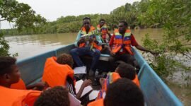 David Nataime seorang Pemandu Tour Ekowisata Mangrove Pigapi Sedang menjelaskan manfaat Tumbuhan Ndoa atau dalam bahasa indonesia disebut Jeruju (Acanthus ilicifolius) yang digunakan sebagai bahan baku utama Minuman Ndoa kepada murid dan guru SD Negeri Pigapu. (Foto: Istimewa)