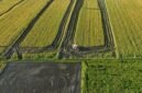 Pemerintah menargetkan perluasan cetak sawah seluas 2.000 hektar sawah di Papua Pegunungan. (Foto: Istimewa)