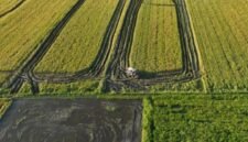 Pemerintah menargetkan perluasan cetak sawah seluas 2.000 hektar sawah di Papua Pegunungan. (Foto: Istimewa)