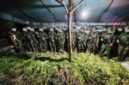 Barang bukti yang berhasil diamankan oleh Satgas Pamtas RI–PNG Mobile Yonif 725/Woroagi Komando Operasi (Koops) TNI Habema, Satgas Pamtas RI–PNG Mobile Yonif 725/Woroagi Komando Operasi (Koops) TNI Habema, Senin, 13 Juli 2026. (Foto: Istimewa)