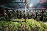 Barang bukti yang berhasil diamankan oleh Satgas Pamtas RI–PNG Mobile Yonif 725/Woroagi Komando Operasi (Koops) TNI Habema, Satgas Pamtas RI–PNG Mobile Yonif 725/Woroagi Komando Operasi (Koops) TNI Habema, Senin, 13 Juli 2026. (Foto: Istimewa)