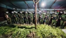 Barang bukti yang berhasil diamankan oleh Satgas Pamtas RI–PNG Mobile Yonif 725/Woroagi Komando Operasi (Koops) TNI Habema, Satgas Pamtas RI–PNG Mobile Yonif 725/Woroagi Komando Operasi (Koops) TNI Habema, Senin, 13 Juli 2026. (Foto: Istimewa)