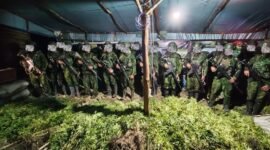 Barang bukti yang berhasil diamankan oleh Satgas Pamtas RI–PNG Mobile Yonif 725/Woroagi Komando Operasi (Koops) TNI Habema, Satgas Pamtas RI–PNG Mobile Yonif 725/Woroagi Komando Operasi (Koops) TNI Habema, Senin, 13 Juli 2026. (Foto: Istimewa)