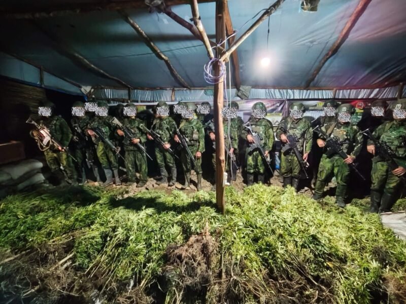 Barang bukti yang berhasil diamankan oleh Satgas Pamtas RI–PNG Mobile Yonif 725/Woroagi Komando Operasi (Koops) TNI Habema, Satgas Pamtas RI–PNG Mobile Yonif 725/Woroagi Komando Operasi (Koops) TNI Habema, Senin, 13 Juli 2026. (Foto: Istimewa)
