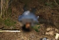 Jenazah GGM (22) di Jalan Irigasi, Kelurahan Pasar Sentral, Mimika, Rabu malam, 15 Juli 2026. Penyebab kematian masih dalam penyelidikan polisi. dok Humas Polres Mimika.