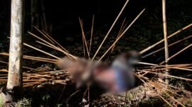 Jenazah korban tergeletak di Kampung Amole, Distrik Kwamki Narama, Mimika, dengan sejumlah panah menancap di sekujur tubuhnya. (Foto: Istimewa/Tangkapan layar video amatir)