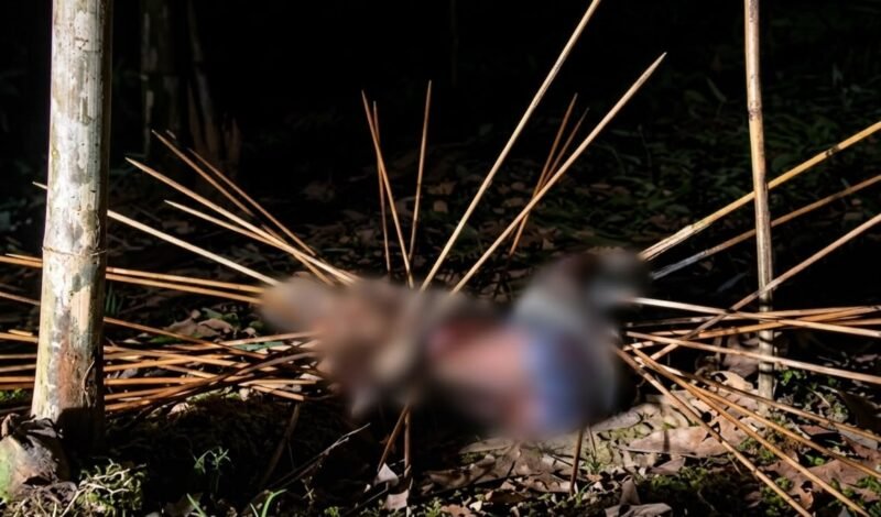 Jenazah korban tergeletak di Kampung Amole, Distrik Kwamki Narama, Mimika, dengan sejumlah panah menancap di sekujur tubuhnya. (Foto: Istimewa/Tangkapan layar video amatir)