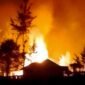 Kantor pemerintahan Kabupaten Puncak, Papua Tengah, dibakar massa pada Selasa (11/8/2026) malam. (Foto: Istimewa)