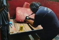 Petugas kepolisian mengolah TKP di kamar nomor 02 Penginapan Sinar Ujung, Mimika, Papua Tengah, Rabu, 26 Agustus 2026. Kamar itu menjadi lokasi terakhir korban sebelum ditemukan tewas di bawah tangga penginapan. Galeripapua/ Kevin Kurni