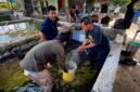 Pemuda Muslimin Indonesia (PMI) Provinsi Papua Tengah bersama Amungsa Foundation membantu petani memanen ikan lele guna dijual ke pihak ketiga Dinas Kesehatan Mimika untuk program stunting, Jumat (4/9/2026). (Foto: Galeri Papua/Endy Langobelen)