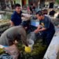Pemuda Muslimin Indonesia (PMI) Provinsi Papua Tengah bersama Amungsa Foundation membantu petani memanen ikan lele guna dijual ke pihak ketiga Dinas Kesehatan Mimika untuk program stunting, Jumat (4/9/2026). (Foto: Galeri Papua/Endy Langobelen)