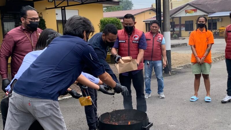 Kasat Resnarkoba Polres Mimika AKP Habibi Solosa memimpin pemusnahan barang bukti ganja bersama perwakilan Kejaksaan, Pengadilan Negeri, BNNK, dan kuasa hukum tersangka di Mapolres Mimika, Selasa (8/9/2026). (Foto: Galeri Papua/Ahmad)