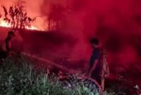Petugas pemadam kebakaran BPBD Kabupaten Mimika saat berjibaku memadamkan api yang membakar kawasan lahan kering di Jalan SP7, Jalur 10, Timika, Papua Tengah, Kamis (10/9/2026) malam. (Foto: BPBD Mimika)
