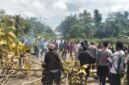 Pemalangan di Distrik Mimika Tengah, Kabupaten Mimika, Papua Tengah, yakni Kampung Kaugapu dan pertigaan Kampung Mioko, pada Selasa (1/9/2026). (Foto: Istimewa)