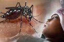 Ilustrasi malaria. (Foto: Istimewa)