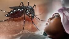 Ilustrasi malaria. (Foto: Istimewa)