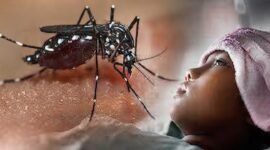 Ilustrasi malaria. (Foto: Istimewa)