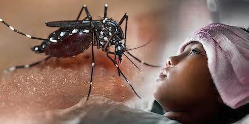 Ilustrasi malaria. (Foto: Istimewa)