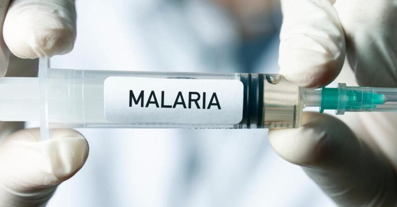 Ilustrasi malaria. (Foto: Istimewa)