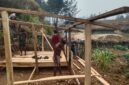 Bantuan pembuatan kandang kepada Abelom Kogoya, selaku Kepala Suku Besar Dani Kabupaten Puncak, di Kampung Yenggernok, Distrik Gome, Kabupaten Puncak, Provinsi Papua Tengah. (Foto: Istimewa)