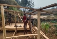 Bantuan pembuatan kandang kepada Abelom Kogoya, selaku Kepala Suku Besar Dani Kabupaten Puncak, di Kampung Yenggernok, Distrik Gome, Kabupaten Puncak, Provinsi Papua Tengah. (Foto: Istimewa)
