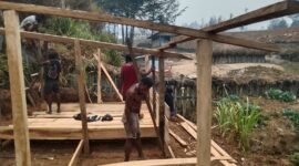 Bantuan pembuatan kandang kepada Abelom Kogoya, selaku Kepala Suku Besar Dani Kabupaten Puncak, di Kampung Yenggernok, Distrik Gome, Kabupaten Puncak, Provinsi Papua Tengah. (Foto: Istimewa)