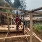 Bantuan pembuatan kandang kepada Abelom Kogoya, selaku Kepala Suku Besar Dani Kabupaten Puncak, di Kampung Yenggernok, Distrik Gome, Kabupaten Puncak, Provinsi Papua Tengah. (Foto: Istimewa)